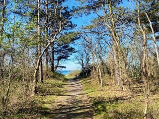 Vakantiehuis Ebeltoft Buitenaudio-opname 8