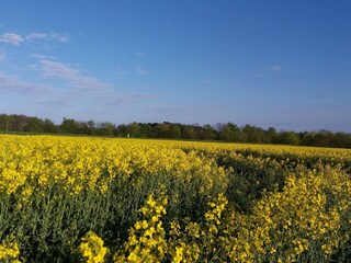 Vakantiehuis Jægerspris  19