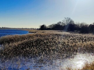 Vakantiehuis Jægerspris  20