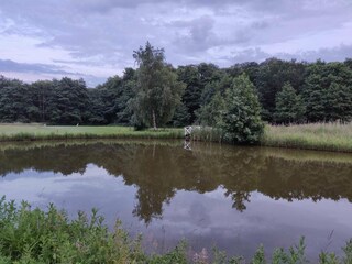 Vakantiehuis Jægerspris  23