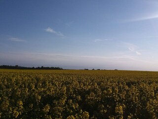 Holiday house Jægerspris  10