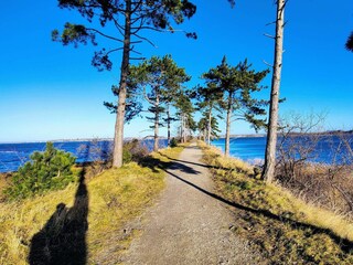 Holiday house Jægerspris  14