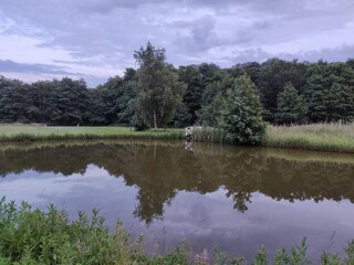 Vakantiehuis Jægerspris  16