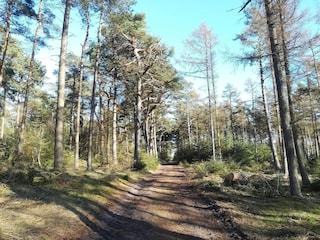 Ferienhaus Gedser  31