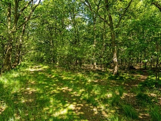 Ferienhaus Ejstrupholm Außenaufnahme 10