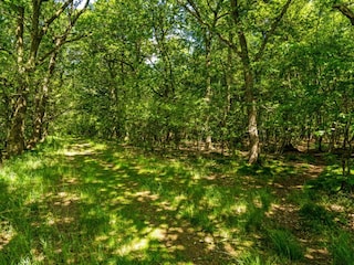 Ferienhaus Ejstrupholm Außenaufnahme 2