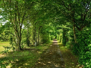 Maison de vacances Ejstrupholm Enregistrement extérieur 8