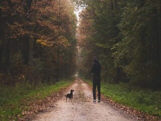 Vakantiehuis Ejstrupholm  31