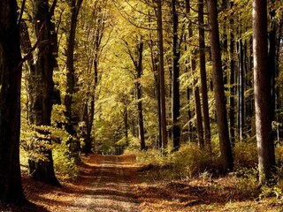 Ferienhaus Ejstrupholm  17