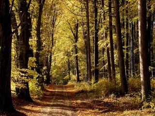 Vakantiehuis Ejstrupholm  30