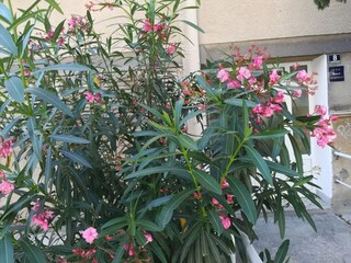Appartement Split (Stadt) Buitenaudio-opname 2