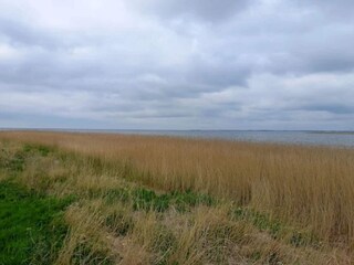 Ferienhaus Fjand  15