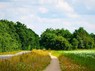 Vakantiehuis Ansager  14