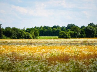 Vakantiehuis Ansager  34