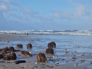 Ferienhaus Henne Strand  8