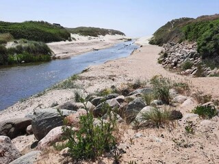 Ferienhaus Henne Strand  9