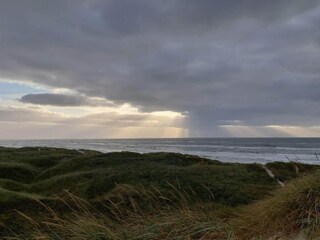 Ferienhaus Henne Strand  8
