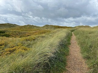 Ferienhaus Henne Strand  22