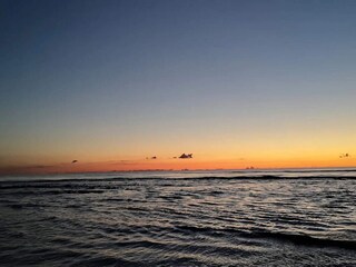 Ferienhaus Henne Strand  33