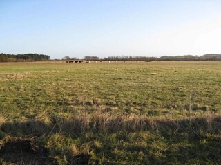Vakantiehuis Borre  15