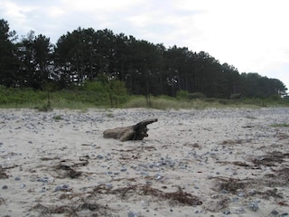 Vakantiehuis Borre  16