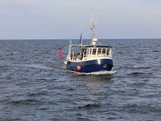 Ferienhaus Als  37