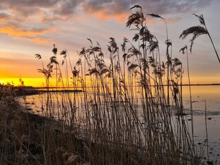 Vakantiehuis Mou  29