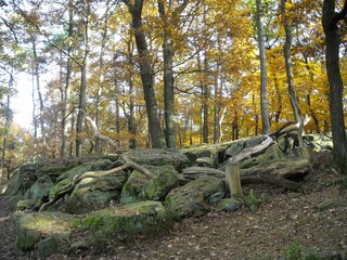 Appartamento per vacanze Elmstein Ambiente 19