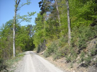 Appartamento per vacanze Elmstein Ambiente 20