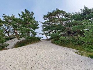 Vakantiehuis Dueodde  8