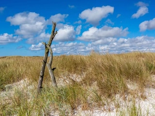 Ferienhaus Dueodde  17