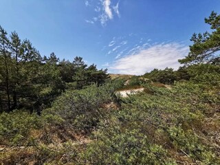 Casa per le vacanze Dueodde  6