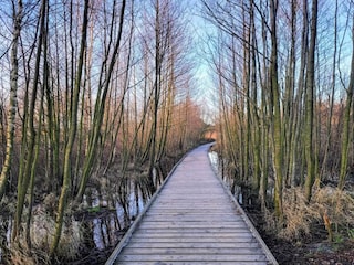 Ferienhaus Dueodde  7