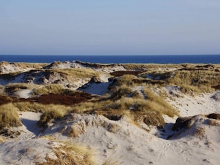 Ferienhaus Dueodde  9