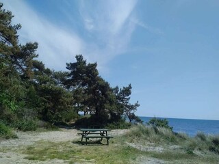 Casa per le vacanze Dueodde  26