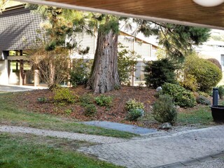 Apartment Insel Reichenau Außenaufnahme 6
