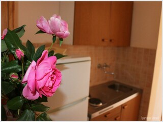 Appartement Rogoznica Équipement 2