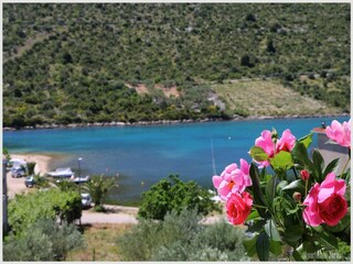 Appartement Rogoznica  10