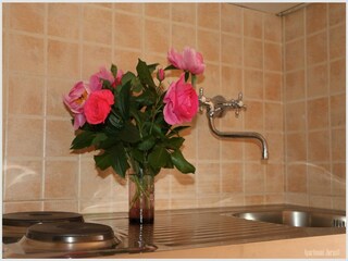 Apartment Rogoznica Ausstattung 4