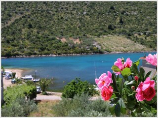 Apartment Rogoznica  11