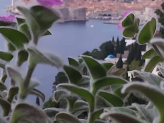 Appartement Dubrovnik Buitenaudio-opname 5