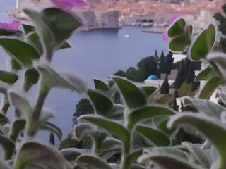 Appartement Dubrovnik Enregistrement extérieur 7