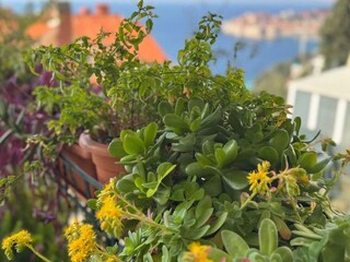 Appartement Dubrovnik Enregistrement extérieur 6