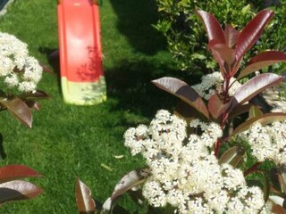 Villa Kastel Novi Buitenaudio-opname 12