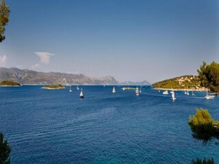 Apartment Lumbarda  15