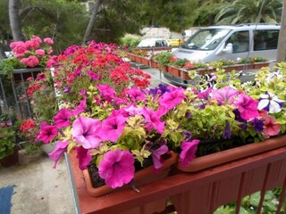 Apartment Sobra Außenaufnahme 6