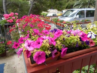 Apartment Sobra Außenaufnahme 5