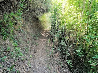 Cottage Banyoles Außenaufnahme 3