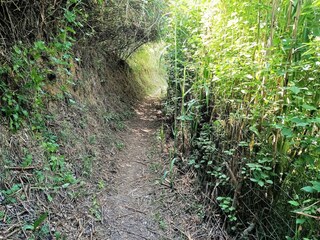 Maison de vacances Banyoles Enregistrement extérieur 6