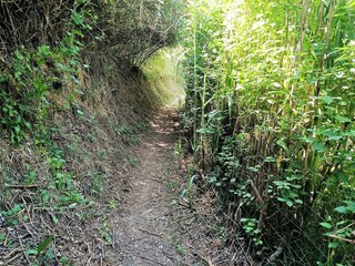 Casa de vacaciones Banyoles Grabación al aire libre 7